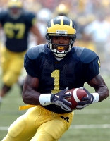 Braylon Edwards (1)