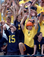 Michigan Fans