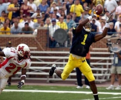 Braylon Edwards (1)