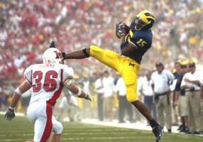 Steve Breaston (15)