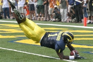 Braylon Edwards (1)
