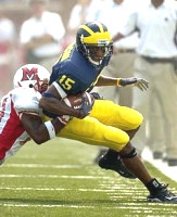Steve Breaston (15)