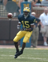 Steve Breaston (15)