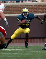 Steve Breaston (15)