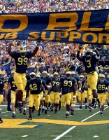 Chad Henne (7), Pierre Woods (99), Lawrence Reid (42), Adam Stenavich (79), Alex Ofili (93), Marlin Jackson (3), and Mike Carl (26)