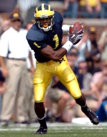 Braylon Edwards (1)