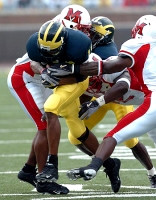 Steve Breaston (15)