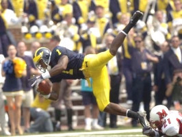 Braylon Edwards (1)