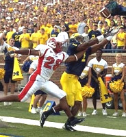 Braylon Edwards (1)