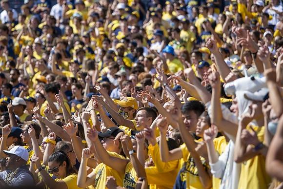 Michigan Fans