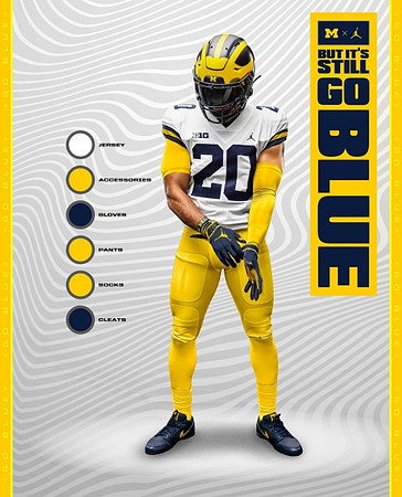 Michigan Player