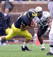 Larry Foote (17)