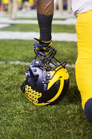 Michigan Helmet