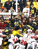 Alan Branch, David Harris, Terrance Taylor, LaMarr Woodley, and Chris Graham