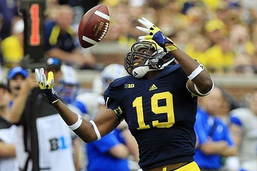 Devin Funchess (19)