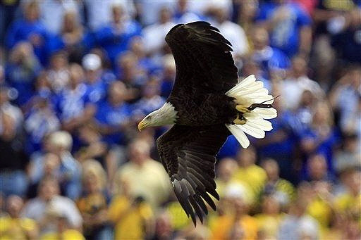 Air Force Falcon