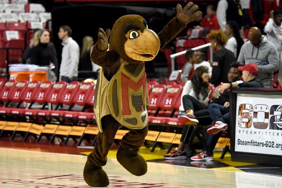 Maryland Mascot