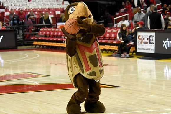 Maryland Mascot