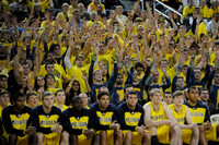 Michigan Team