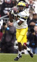 Steve Breaston (15)