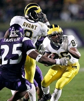 Mario Manningham and Jason Avant