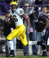 Mario Manningham