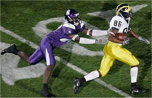 Mario Manningham