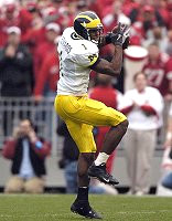 Braylon Edwards (1)