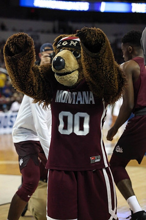 Montana Mascot