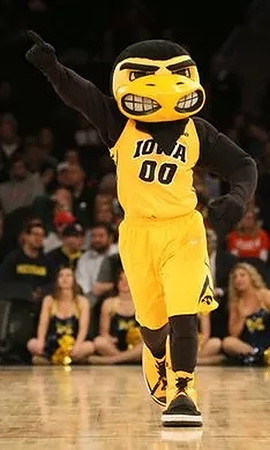 Iowa Mascot