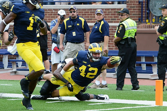 Ben Gedeon (42) and Devin Funchess (1)
