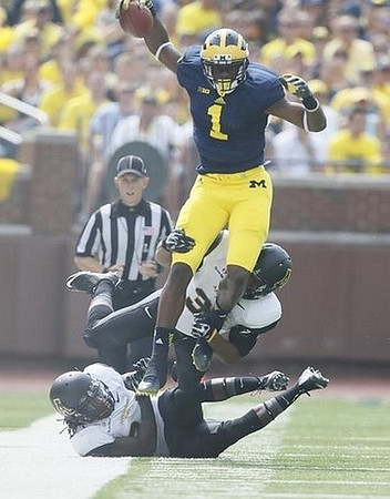 Devin Funchess (1)
