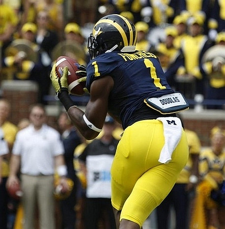 Devin Funchess (1)