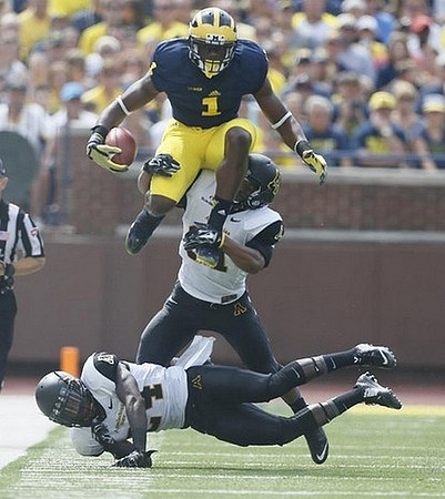 Devin Funchess (1)