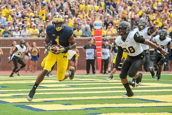 Devin Funchess (1)