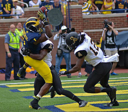 Devin Funchess (1)