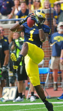 Devin Funchess (1)