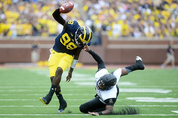 Devin Gardner (98)
