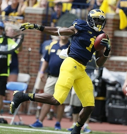 Devin Funchess (1)