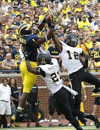 Devin Funchess (1)