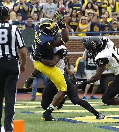 Devin Funchess (1)