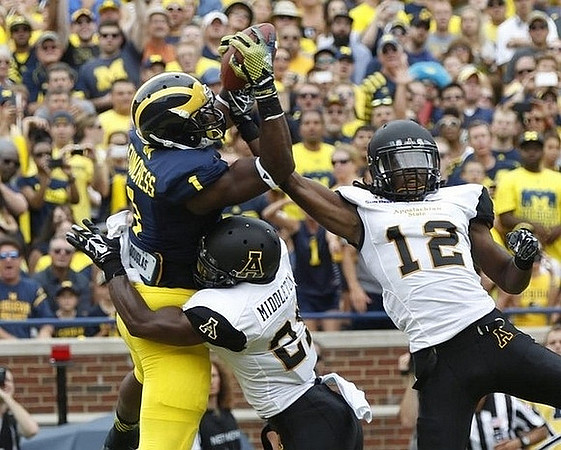Devin Funchess (1)