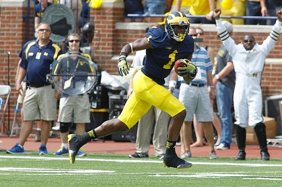 Devin Funchess (1)