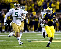 Jeremy Gallon (10)