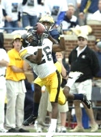 Braylon Edwards (1)