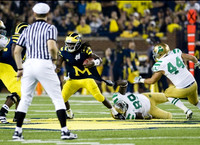 Denard Robinson (16)