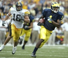 Braylon Edwards (1)