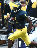 Braylon Edwards (1)