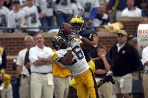 Braylon Edwards (1)