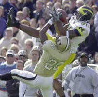 Braylon Edwards (80)
